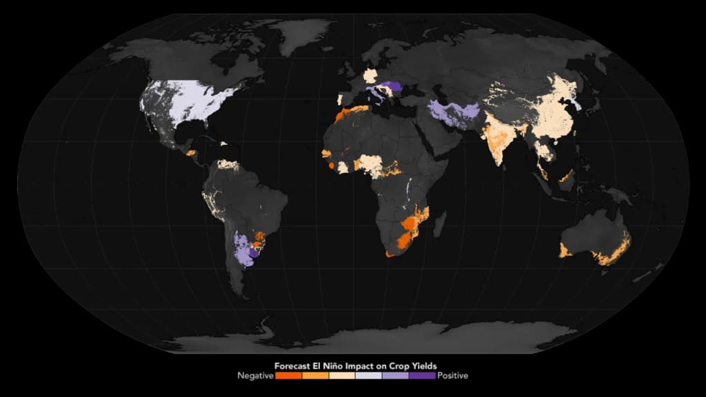 A map of forecasted El Niño impact on crop yield.