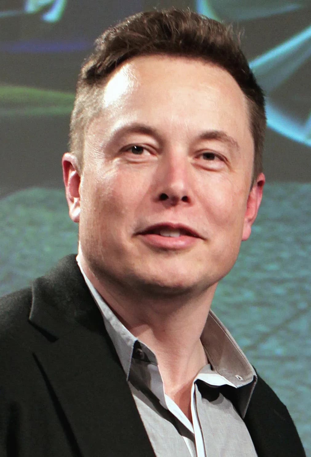 Musk at the 2015 Tesla Motors Annual Meeting