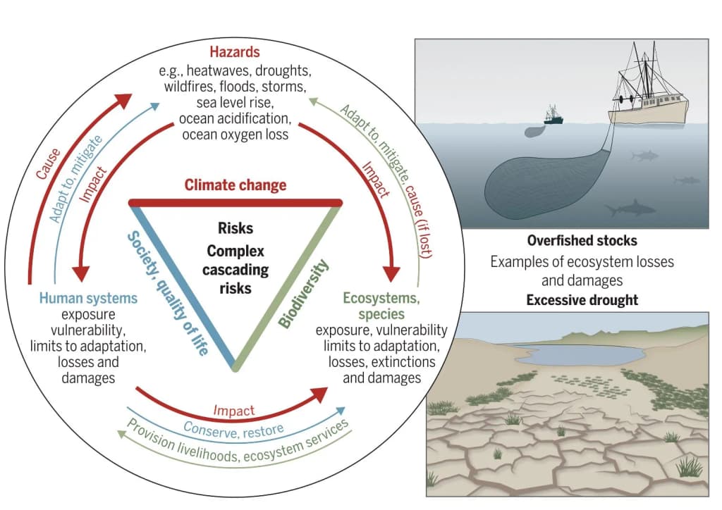 Risk cascading on environment