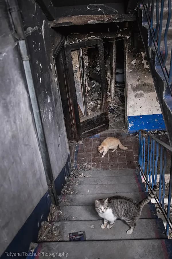 War in Ukraine