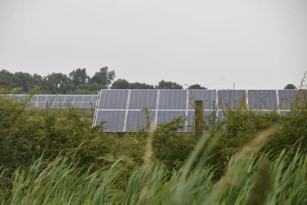 Sycamore Solar Farm