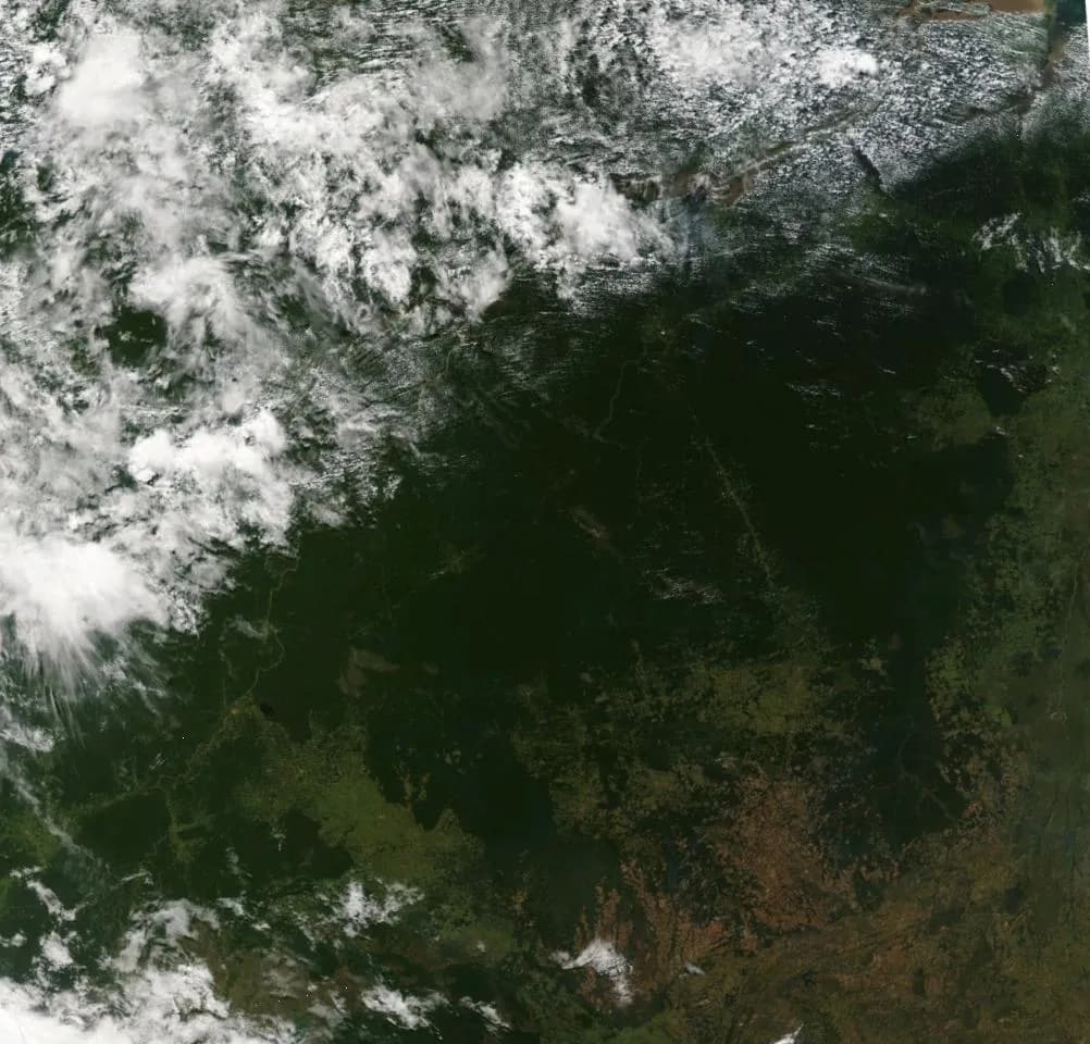 Amazon rainforest. Nasa MODIS satellite picture.
