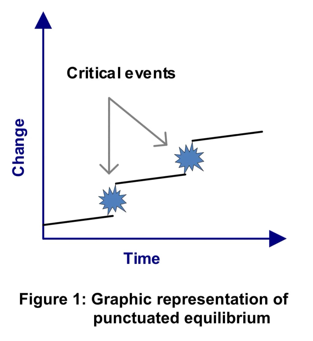 Graphic Representation of Punctuated Equilibrium