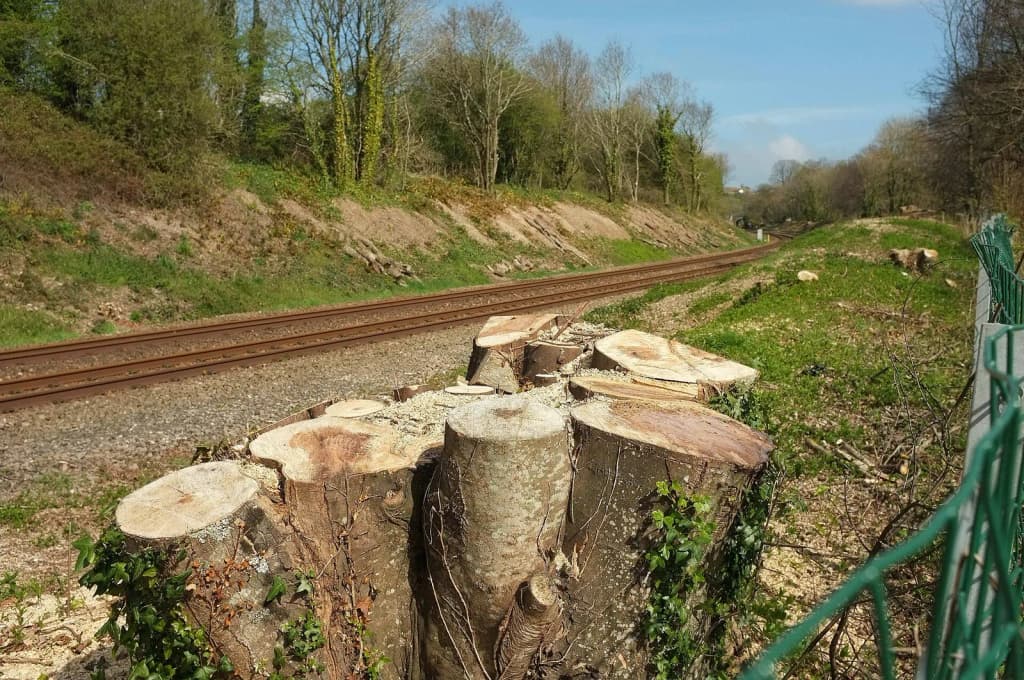 A clearer view of the railway line