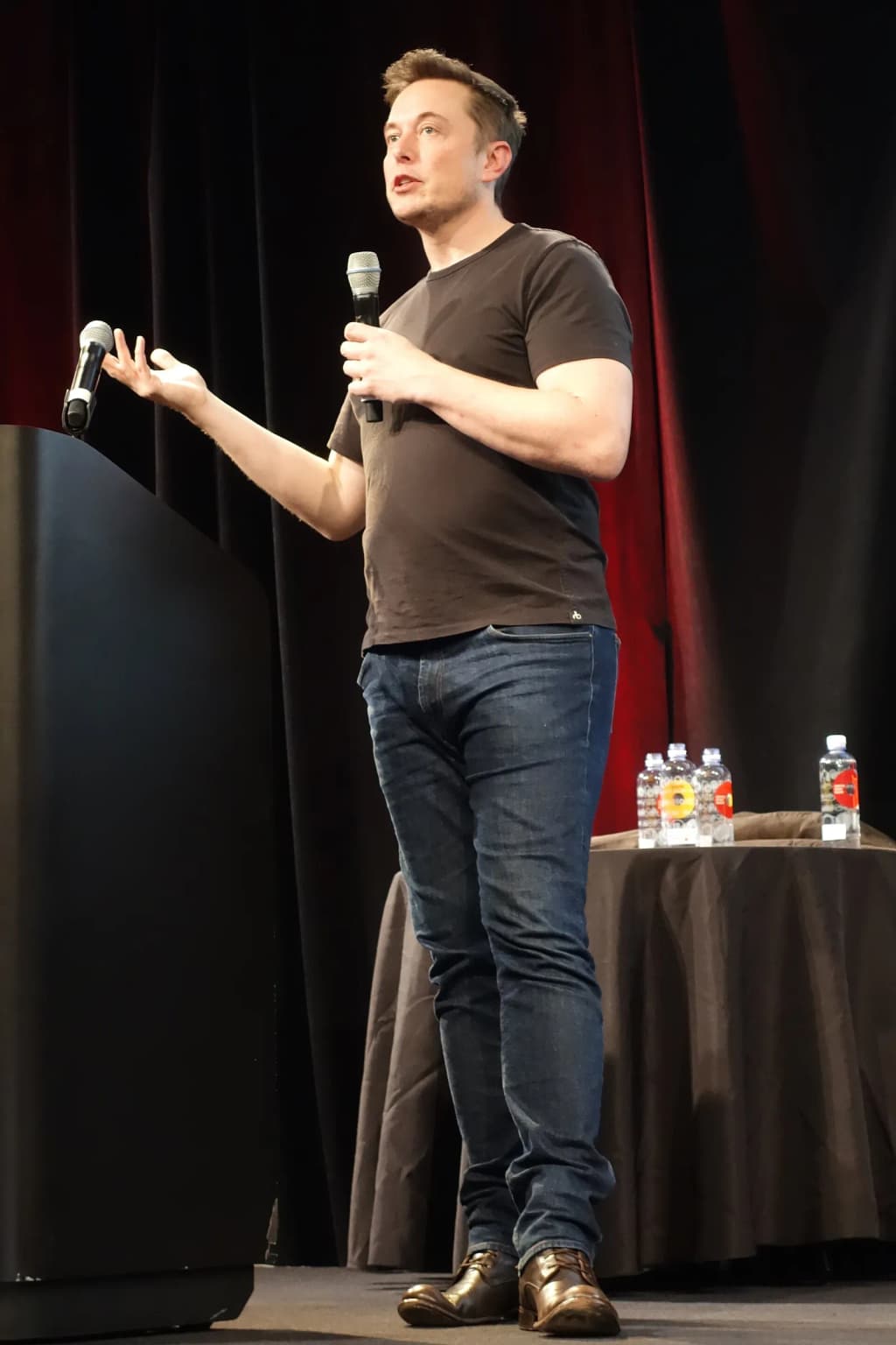 Elon Musk at the 2016 Tesla Annual Shareholders' Meeting