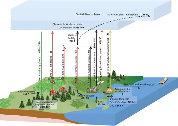 Carbon budgets of China’s terrestrial ecosystems from 2006 to 2009. Unit: TgC yr −1 . The net CO 2 flux in the boundary layer of China is 1.47 ± 0.24 PgC yr −1