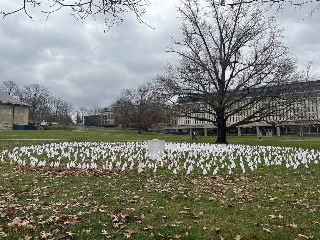 "These flags represent the lives lost in Sudan, Congo, Palestine"