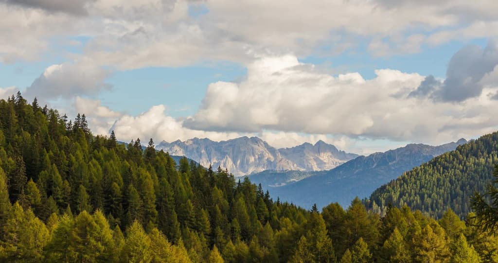 Mountain Walking Tour from Pejo to Lago Covel (1,839 m) in the Stelvio National Park (Italy). View to northern Brenta group