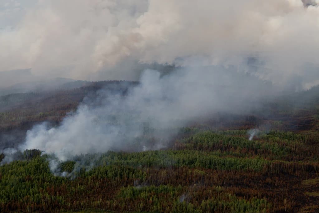 Rising smoke reveals a mosaic of burn severity on the Marie Creek Fire. Look closely to see black (high severity), brownish orange (moderate to light severity)