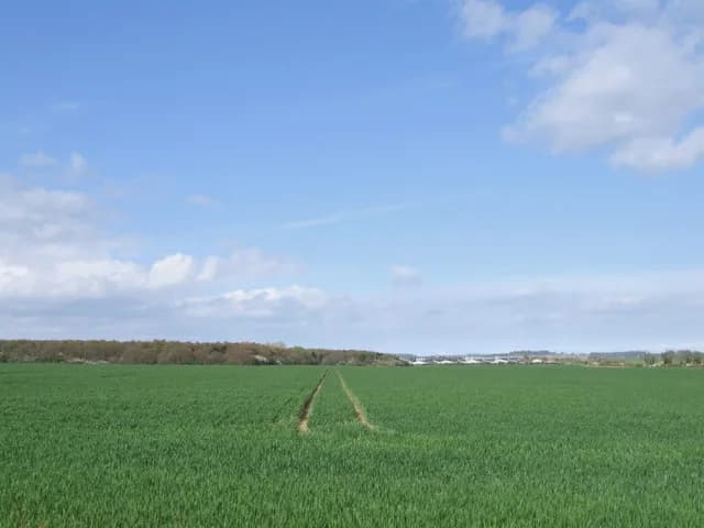 Agricultural land. A view looking across farmland towards Edlington Scrubs.