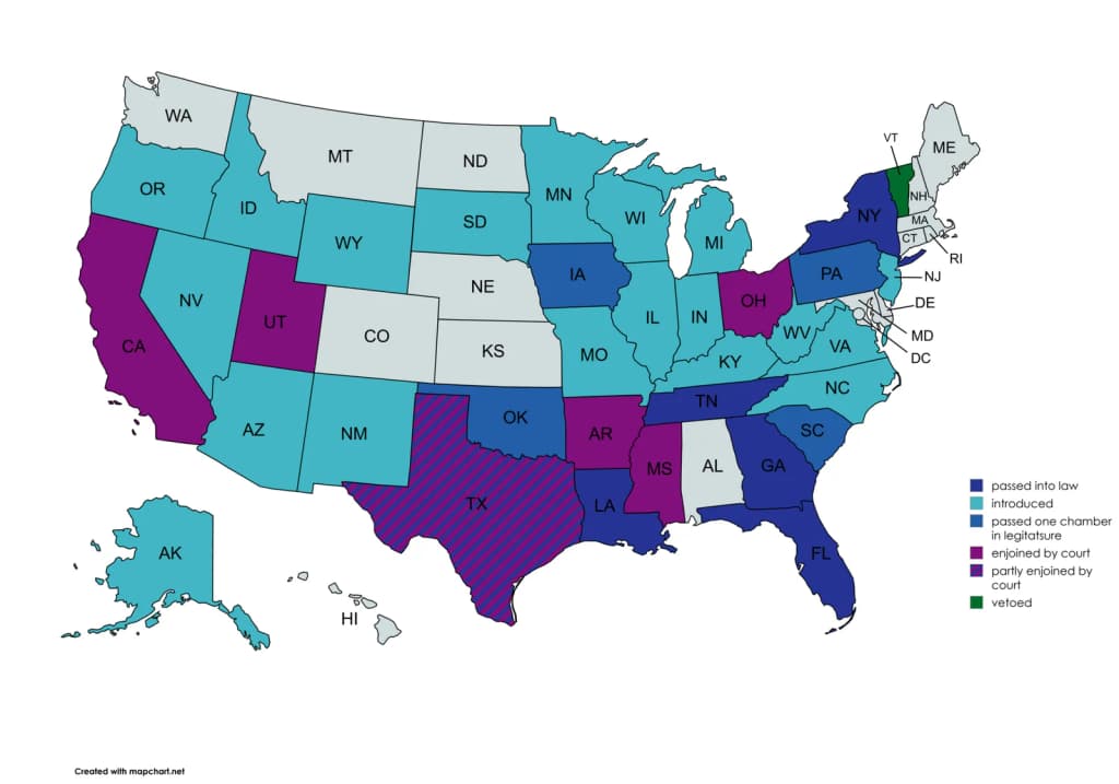 Age Verification for social media in the United States