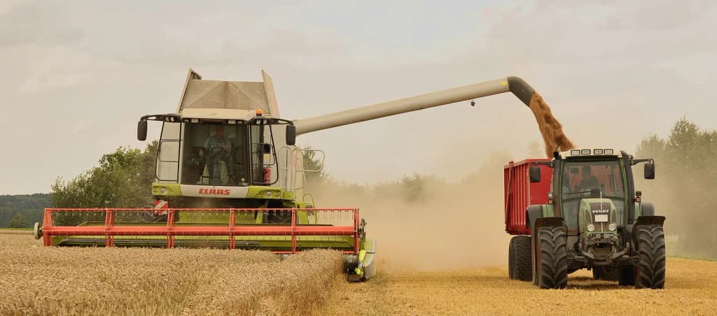 The wheat harvest near Eldagsen in Germany . The combine Claas Lexion 584 06833 mows, threshes, shreddes the chaff and blows it across the field. In the meantim