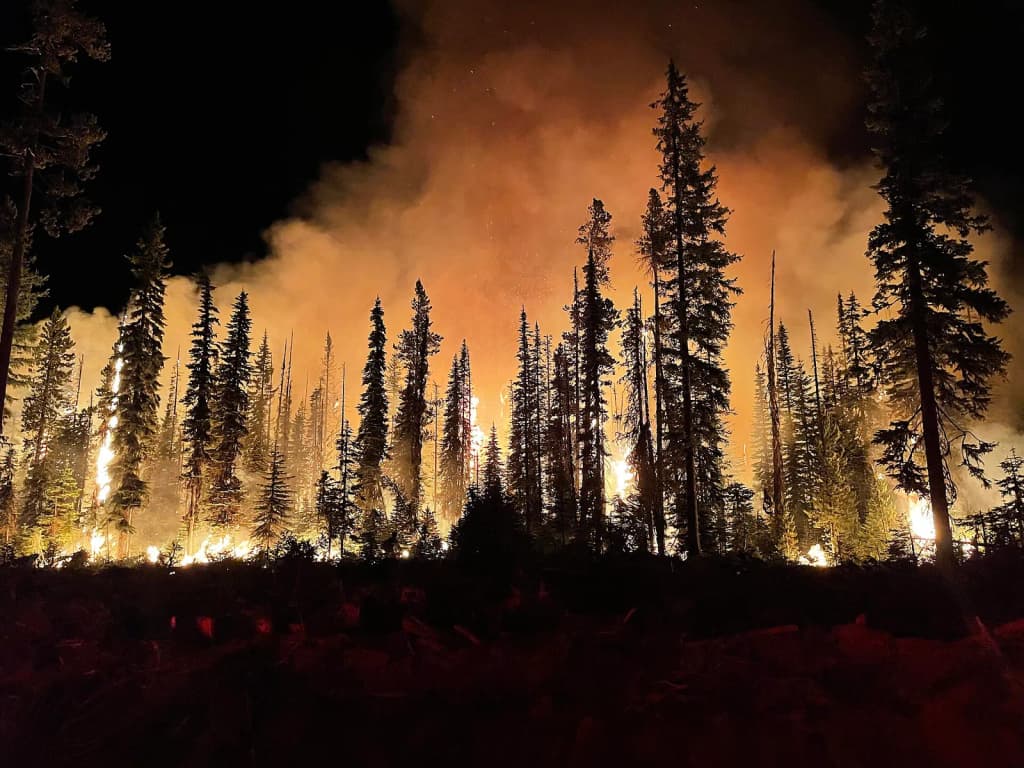 Forest fire at Umatilla National Forest. Photo by Brendan O'Reilly. "Lick" refers to the place where the wildfire occured, the Lick Creek.