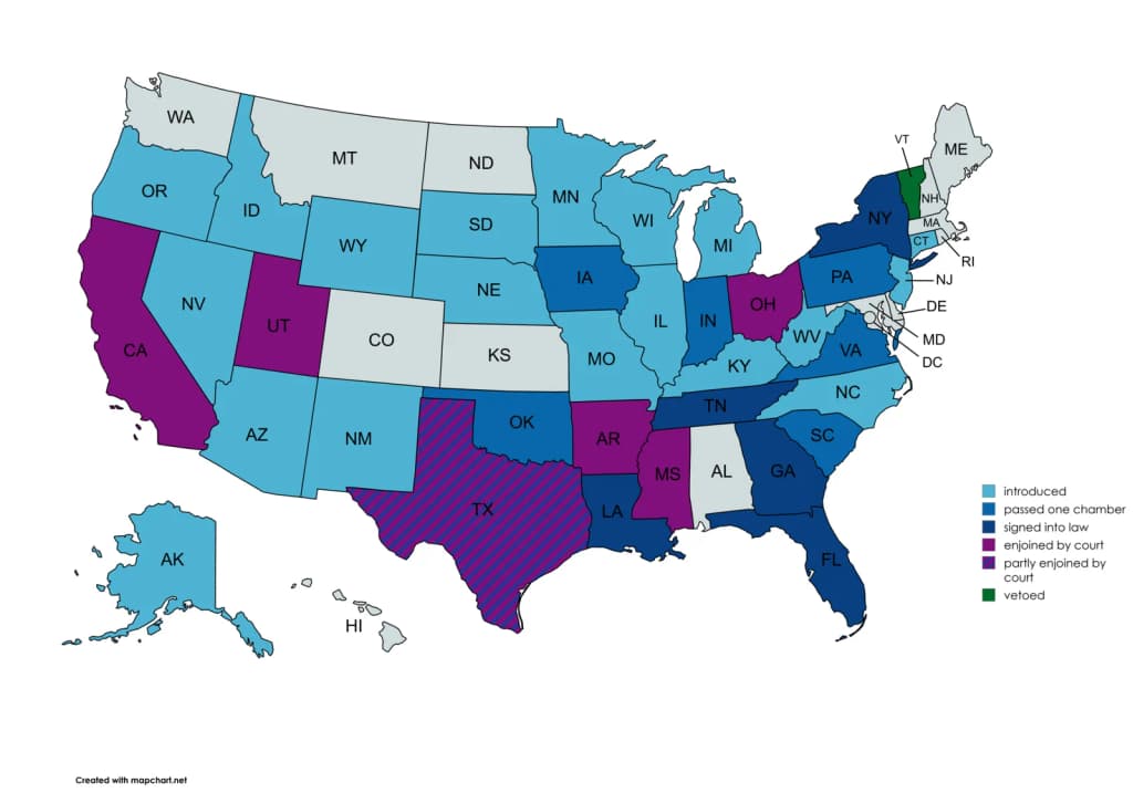 Social media age verification laws (2) in the us 2025