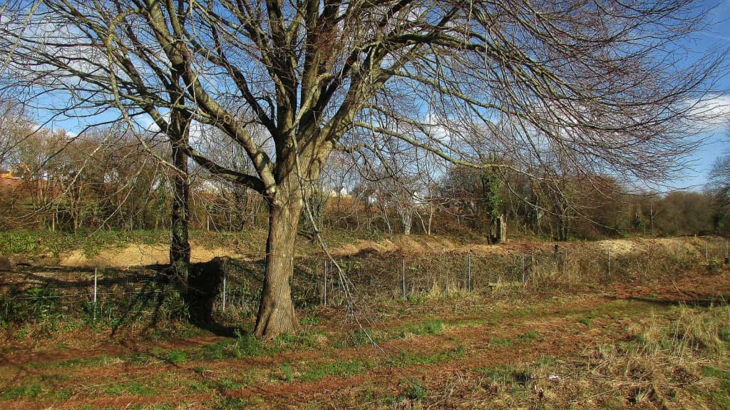 A clearer view of the railway line, Shiphay