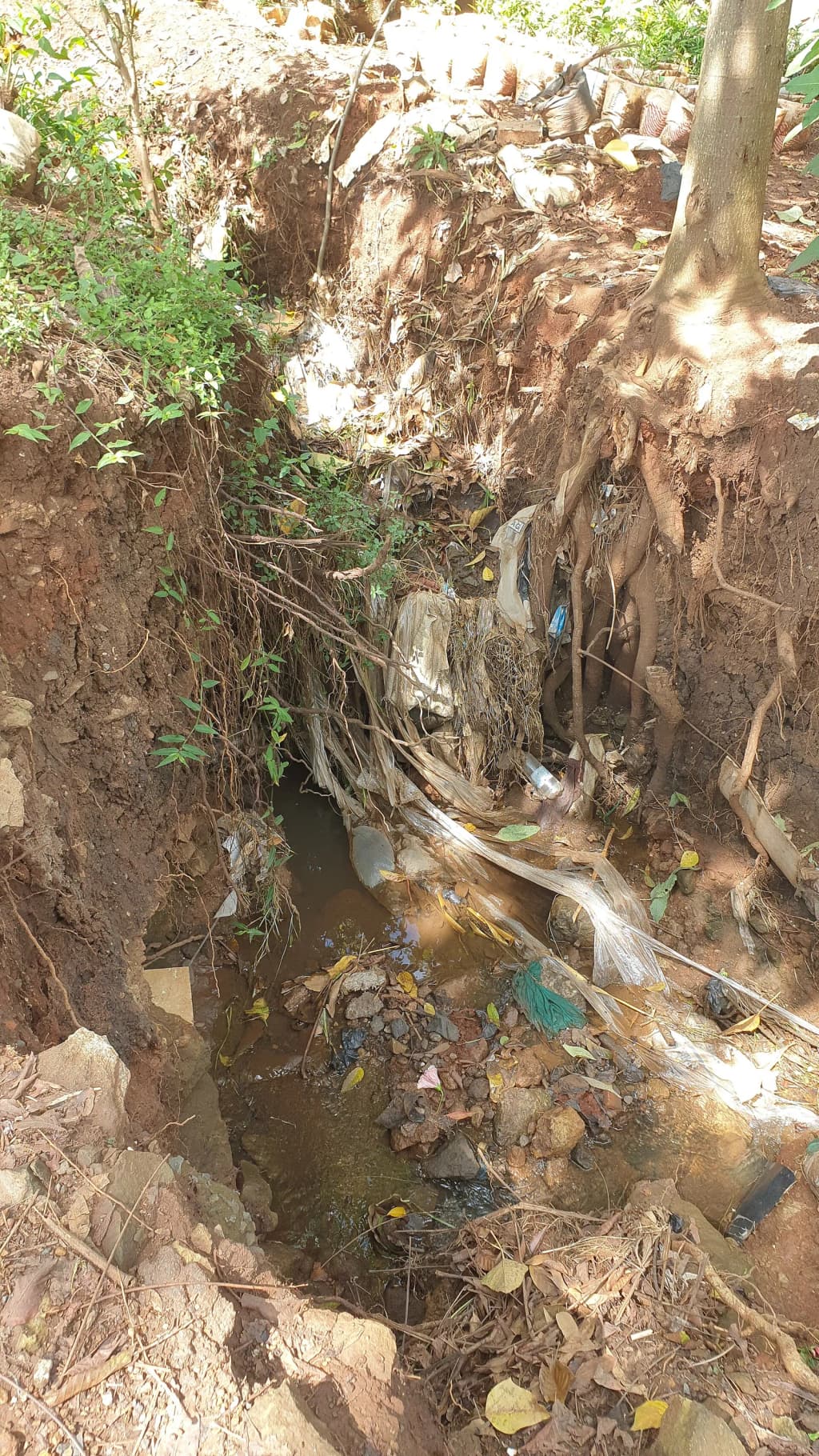 This picture elaborates on a fascinating fusion of the power of nature along with man's input. The drainage initially well-formed has ultimately transformed int