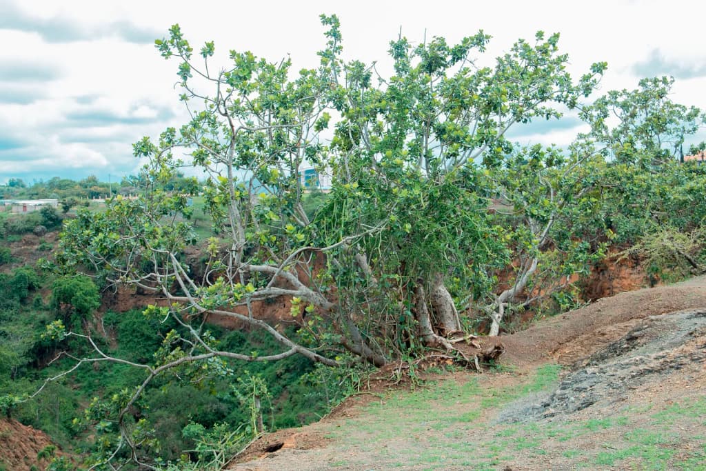 land degradation which coursed by climate change and human activities