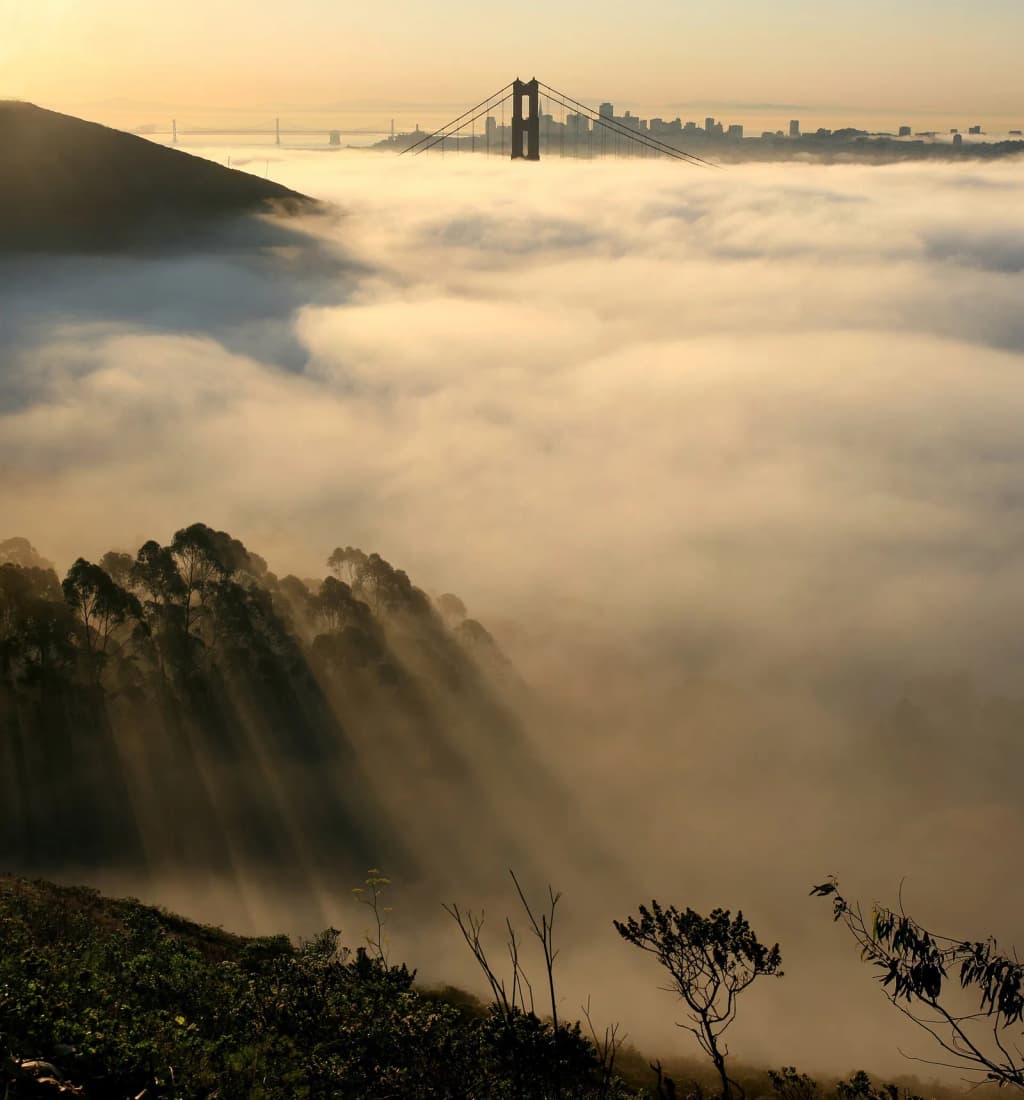 Out of fog Bay Bridge and Golden Gate Bridge and San Francisco in fog and w:crepuscular rays . The image was sent to Dr. Andrew T. Young, . Here's his descripti