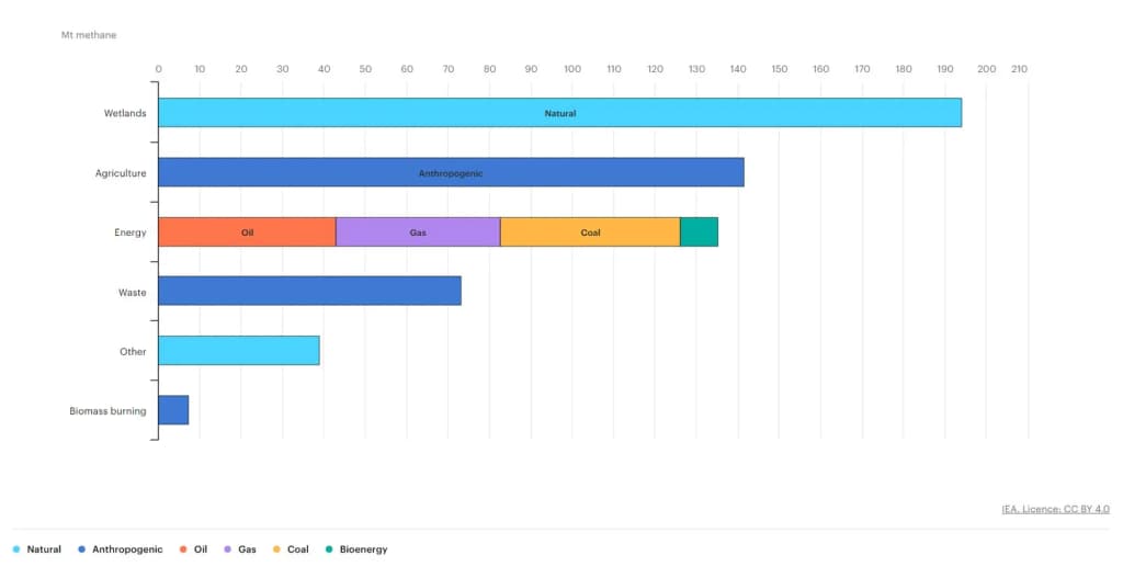 Bar graph of sources global of methane emissions. Energy sector emissions are from the Global Methane Tracker for 2021; non-energy sector emissions are the aver
