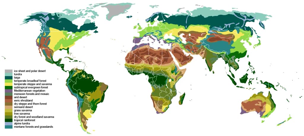 The main biomes in the world. Drawn by hand using maps. Ice sheet and polar desert Tundra Taiga Temperate broadleaf and mixed forest Temperate steppe Subtropica