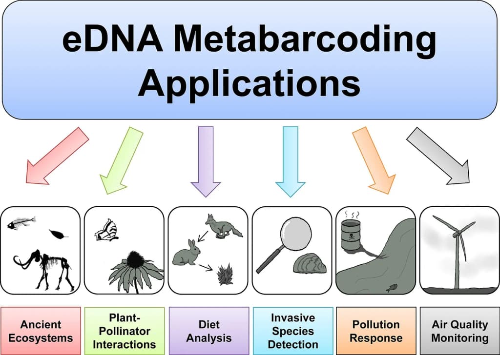 Applications of environmental DNA metabarcoding in aquatic and terrestrial ecosystems