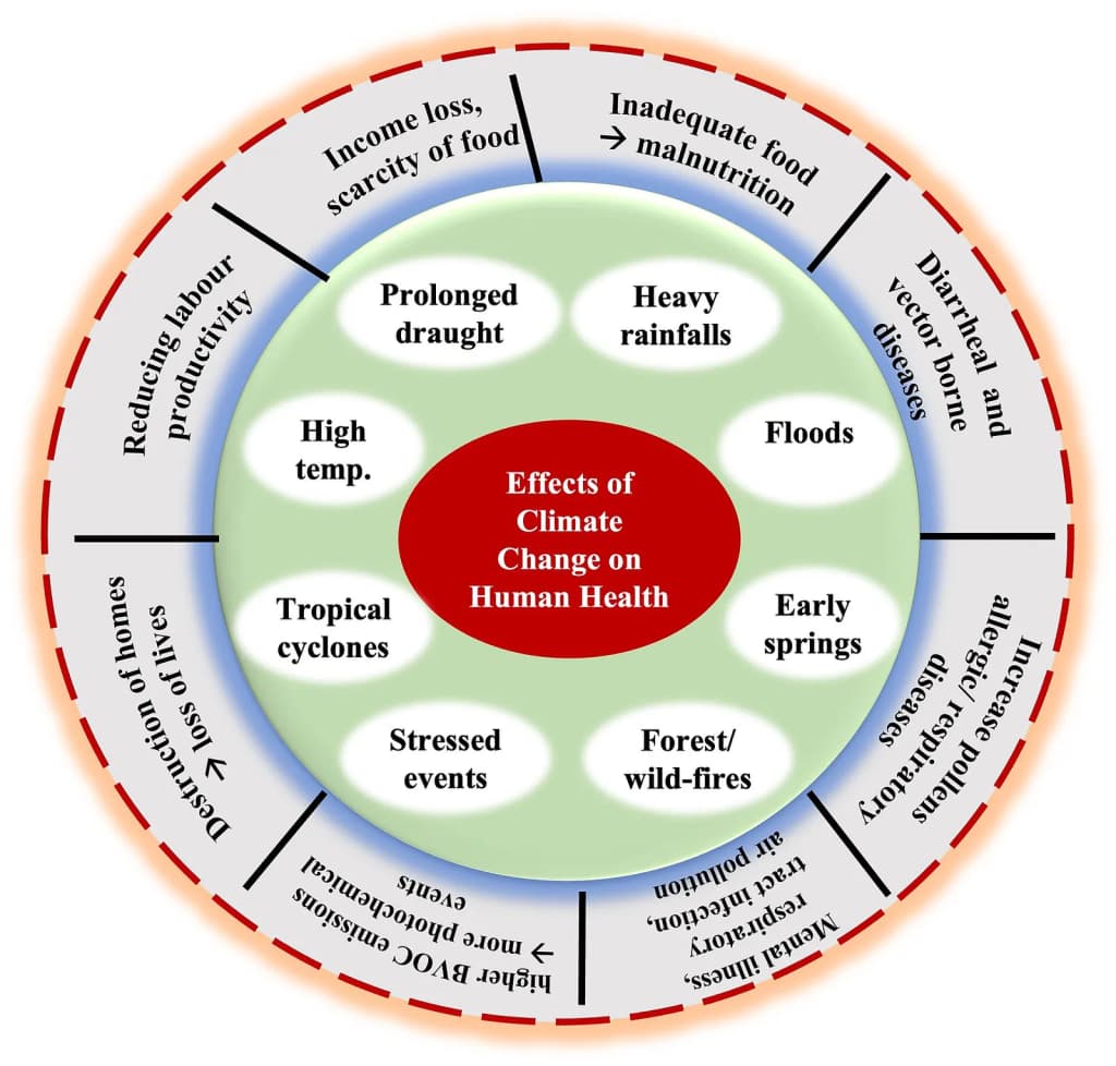 It is a graphical representation of effect of climate change on human health