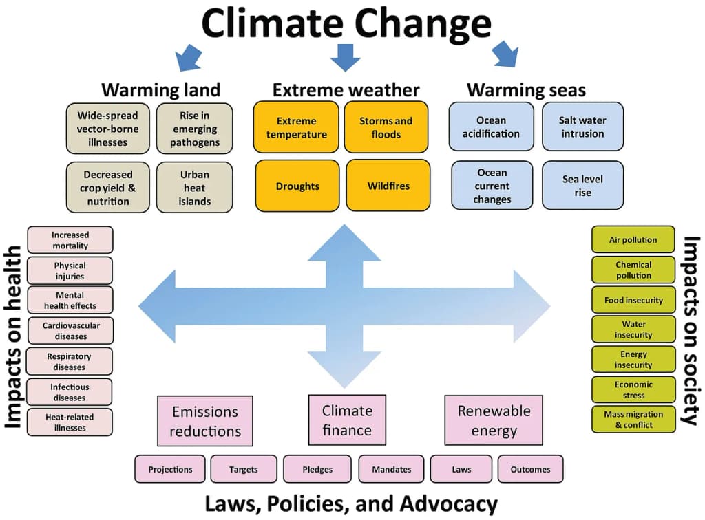 Impacts of climate change on health and society and responses through laws, policies, and advocacy.
