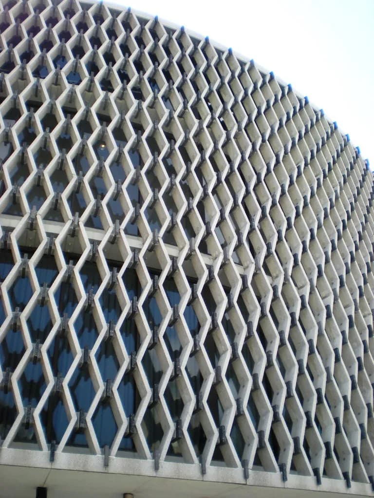 World Health Organization