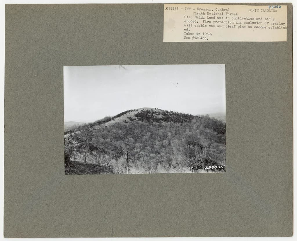 File:Watershed Management - North Carolina - DPLA - b4a76dc46f4f95a27037cc07f8dbb37b.jpg