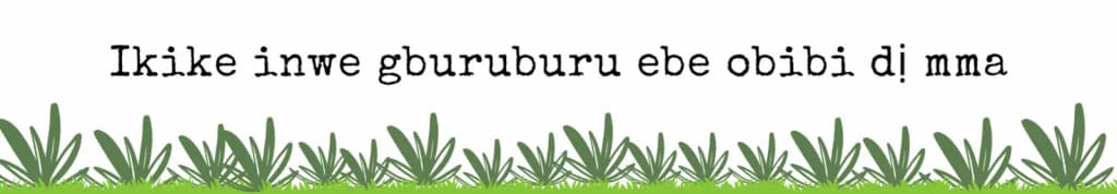 translation of Right to a Healthy Environment to Igbo Language